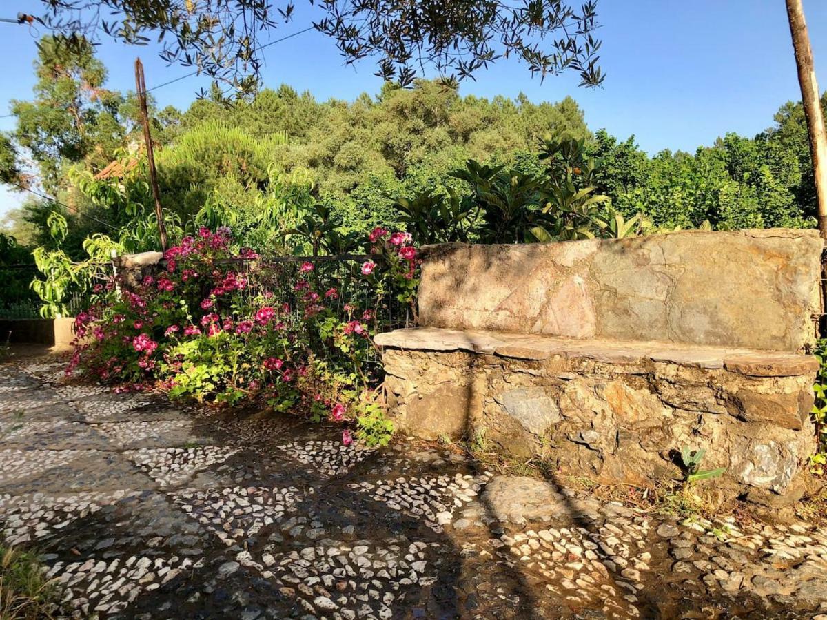 Casa Papiqui Villa Fuenteheridos Dış mekan fotoğraf