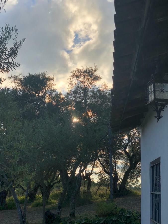 Casa Papiqui Villa Fuenteheridos Dış mekan fotoğraf