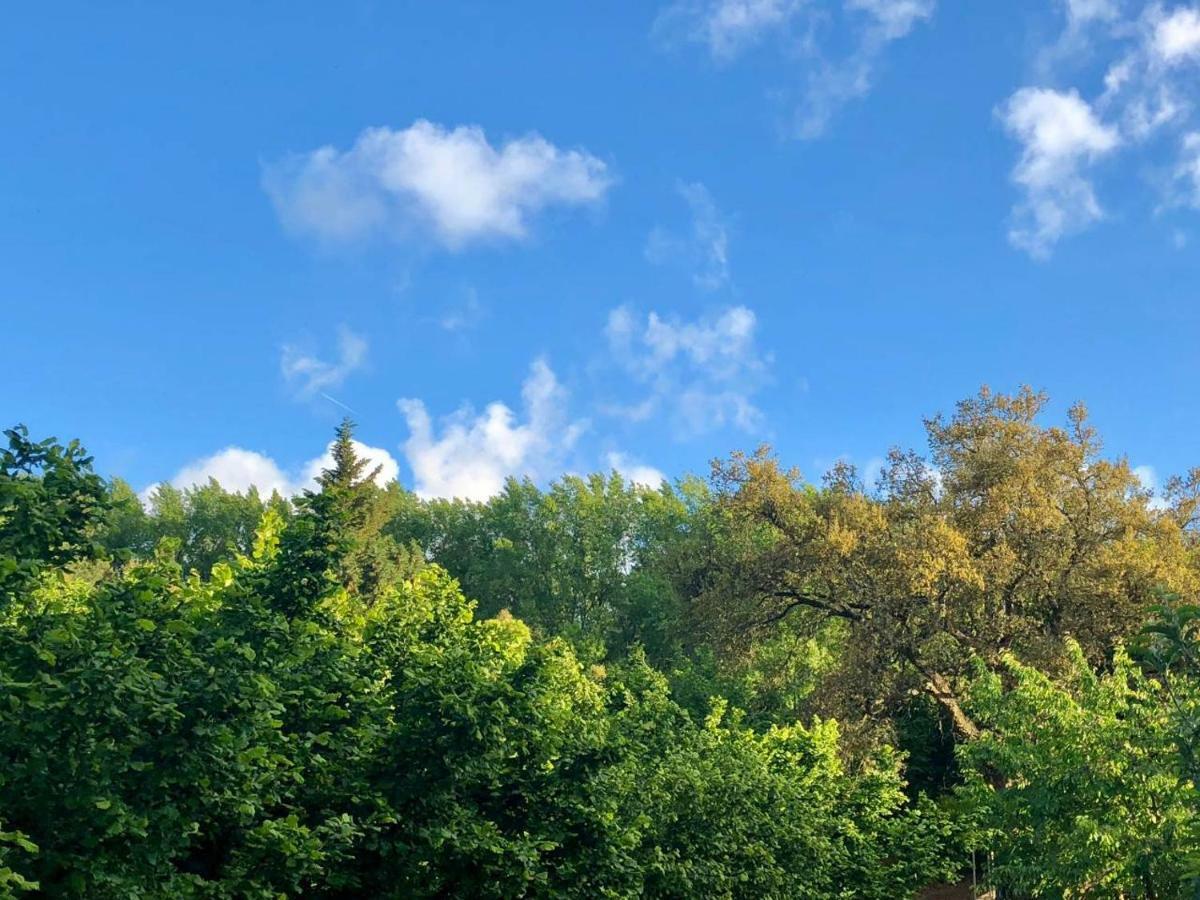 Casa Papiqui Villa Fuenteheridos Dış mekan fotoğraf